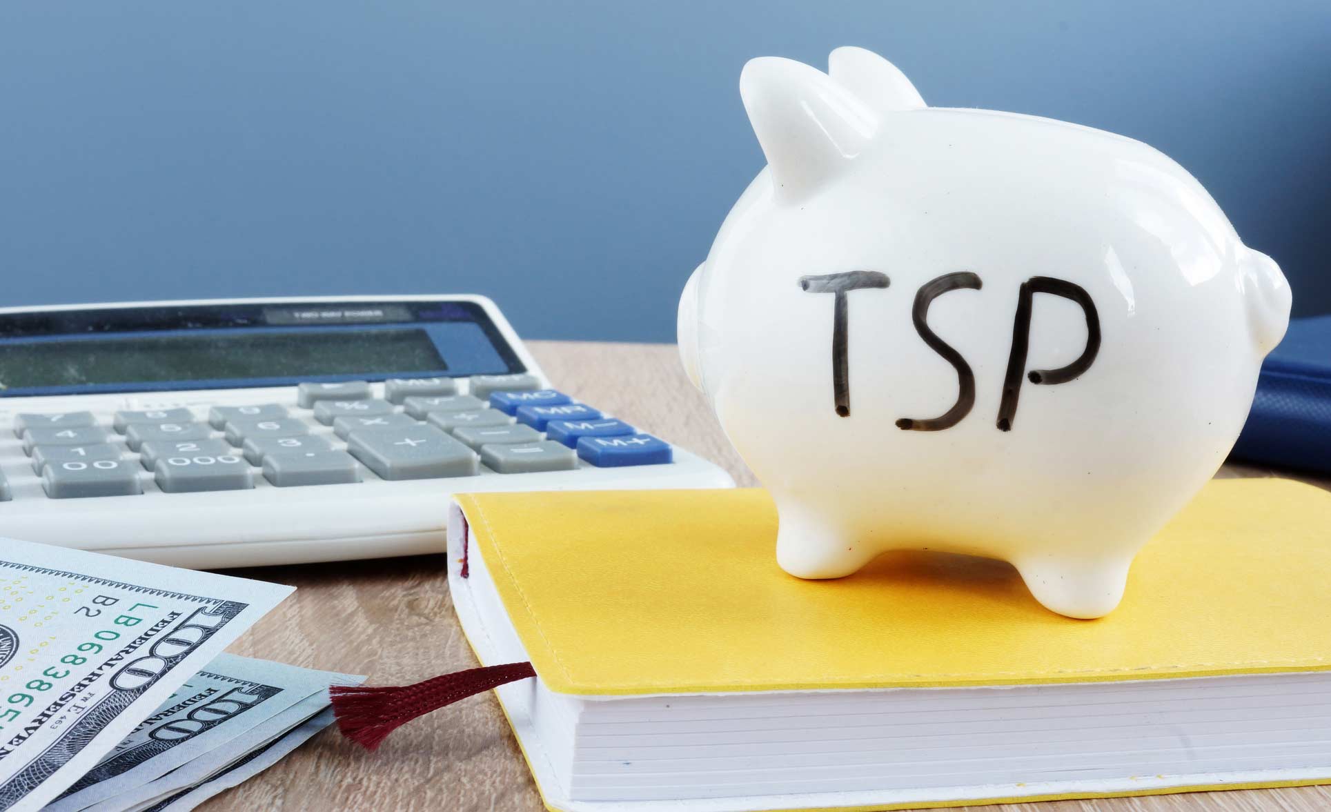 TSP Piggy Bank